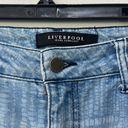 Liverpool JEAN COMPANY Women's Size 4 Skinny Stretch Jeans With Pattern Photo 2