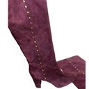 Ralph Lauren Lauren by  Suede Atherton Burgundy Tall Boots Sz. 10 Photo 5