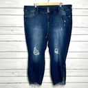 Torrid  Stiletto Jegging Ankle Zip Skinny Jeans Stretch Denim Plus Size 26 Photo 1