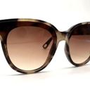 Lele Sadoughi NWT  Tortoise Brooklyn Sunglasses Cat Eye Photo 2