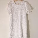 Love Riche  Eyelet Mini Dress size Medium Photo 0