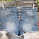 Wild Blue  Denim Jean Shorts Womens 3 Photo 0