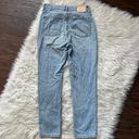 Everlane 90’s Cheeky Panel High Rise Crop Jeans Photo 6