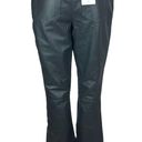 Nike Jordan  x Travis Scott Cactus Jack NWT 100% Leather Pants Bootcut Pants Sz 2 Photo 2