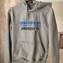 Patagonia Sweatshirt Photo 0