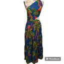 Farm Rio Sunny Day One-shoulder Cutout Printed Maxi Dress, Size Medium Photo 5