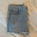 Levi's 501 Denim Shorts Photo 2