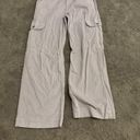 American Eagle purple corduroy cargo pants Photo 0