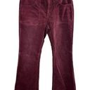 Pilcro  Anthropologie Icon Flare Corduroy Pants Women's 30 Burgundy Y2K Photo 0