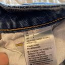 American Eagle Jeans Shorts Photo 1