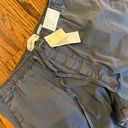 American Eagle Outfitters Jogger Photo 2