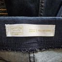 Levi Strauss & CO. Levi Strauss Signature Blue Totally Shaping Pull On Skinny Jeans Size 16 Photo 4