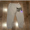 Free City Grey  Sweatpants Photo 2