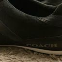 Coach : Black Lexey (A1442) Signature sneakers- 9 Photo 15