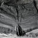 American Eagle Outfitters Shorts Photo 0