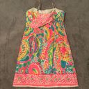 Lilly Pulitzer Dress Photo 1