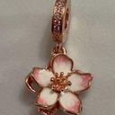 Pandora Cherry Blossom Dangle Charm Photo 0