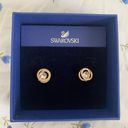 Swavorski Generation Gold Diamond Circle Earrings Photo 1