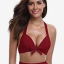 NWT! Shekini Vintage Maroon Tringle Bikini Top XL Red Photo 0