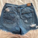 American Eagle Outfitters Shorts Photo 3