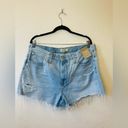 Madewell  Relaxed MidRise Denim Shorts, NWT size 32 Photo 1