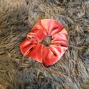 Francesca's Velvet Scrunchie Assortment Photo 2