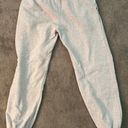 Brandy Melville Gray Rosa Sweatpants Photo 0