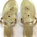 Jack Rogers  Gold Jelly Sandals Flat PVC Thongs Flip Flops Georgica Sz 6 New Photo 5