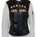 Harley Davidson Genuine  leather jacket size L Photo 0