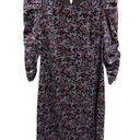 The Row THE SAVILE Dress Size 6 Puff Sleeve Velvet Holiday Nature Print Winter Photo 0