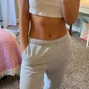 American Eagle Outfitters Sweatpants Photo 0