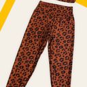 Sage RUST AND BLACK CHEETAH PRINT LEGGINGS 2 piece work out  SET XS Photo 1