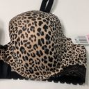 Felina  ANIMAL PRINT BRA Photo 2