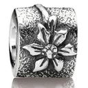 Pandora  Poinsetta Edelweiss Flower Charm in Sterling Silver 925 790213 Photo 0