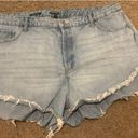 Jean Shorts Size 20 Photo 0