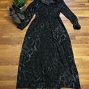 Kensie Leopard Print Sheer Maxi Dress Size 8 Photo 0