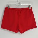 Vans  Off The Wall Avenue Shorts in Red Poppy Size Small Photo 59