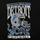 Urban Outfitters NFL Franchise NFC North Detroit Lions Crewneck Sweater Size Medium Photo 1