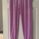 Generation Love New  Ivy Velour Joggers LiLac Size Large Photo 0