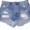 One Teaspoon One X Teaspoon denim festival shorts size 27 Photo 0