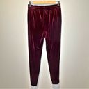 Naked Wardrobe  Pull On Maroon Velvet Jogger Pants - size Large Photo 6