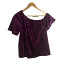 Cooper and Ella  shirt‎ purple velvet NWT XS Photo 1