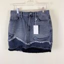 frame denim Size 25 Distressed Le Mini Denim Skirt Photo 3