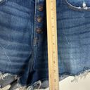 Abercrombie & Fitch  high rise fly button mom shorts curve love size 30 Photo 3