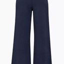 Aritzia Souvenir Pants Photo 1