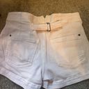 Pilcro Anthropology  Shorts Photo 2