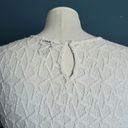 Hinge  Lace Peplum Crewneck Top Photo 4