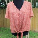 Nine Britton  Orange Floral Short Sleeve Blouse Photo 0