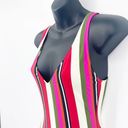 Solid & Striped  V Neck Low Back Striped One Piece Swimsuit Pink Small Photo 5