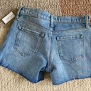 Banana Republic Jean Shorts Photo 1